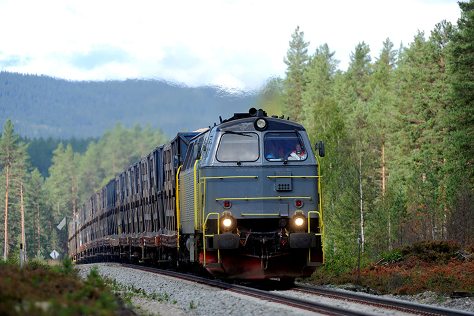 Bilde av et godstog på vei gjennom et skogskledt terreng.